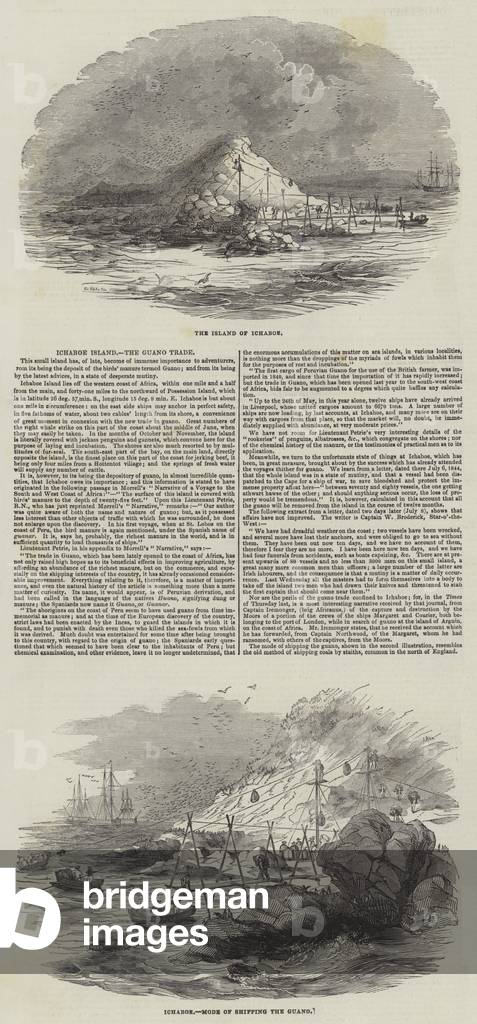 Ichaboe Island, the Guano Trade (engraving)