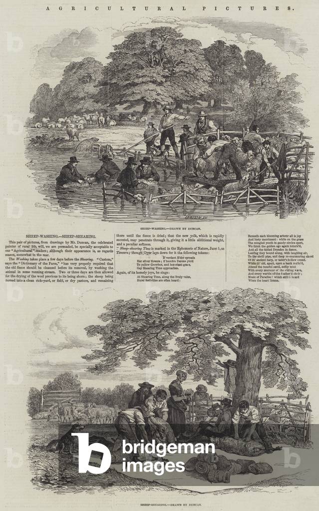 Agricultural Pictures (engraving)