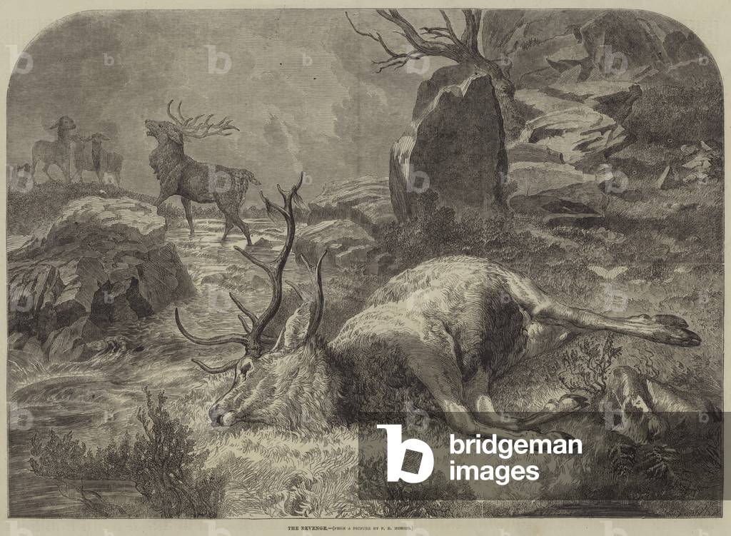 The Revenge (engraving)