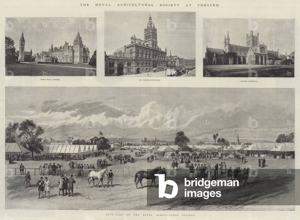 The Royal Agricultural Society at Chester (engraving)