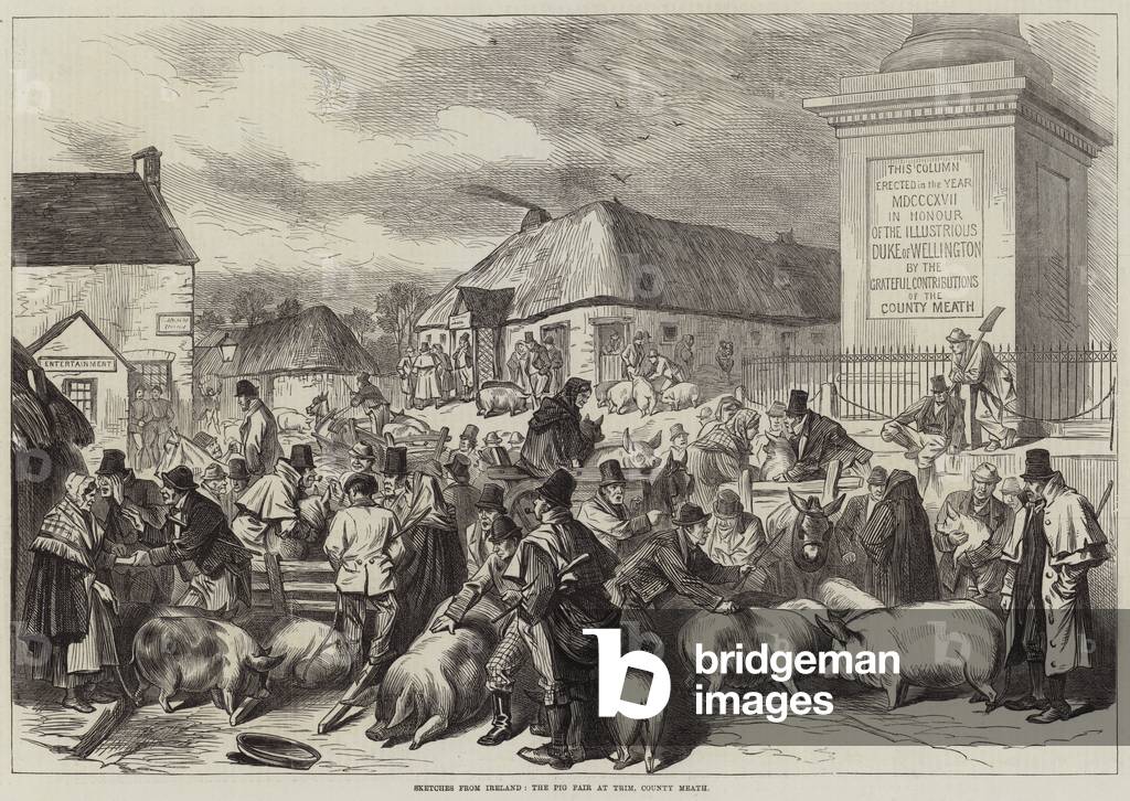 Sketches from Ireland, the Pig Fair at Trim, County Meath (engraving)
