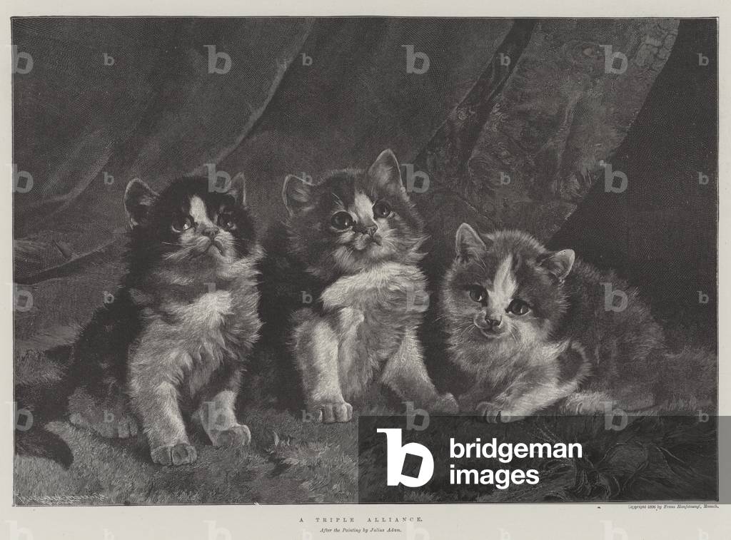 A Triple Alliance (engraving)