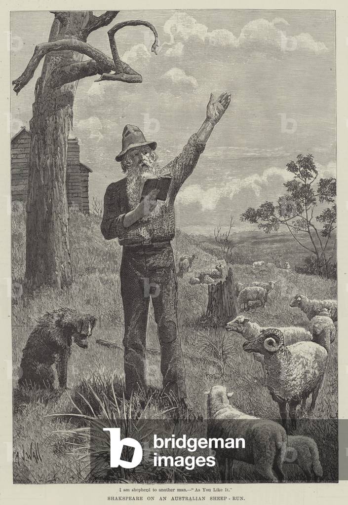 Shakspeare on an Australian Sheep-Run (engraving)