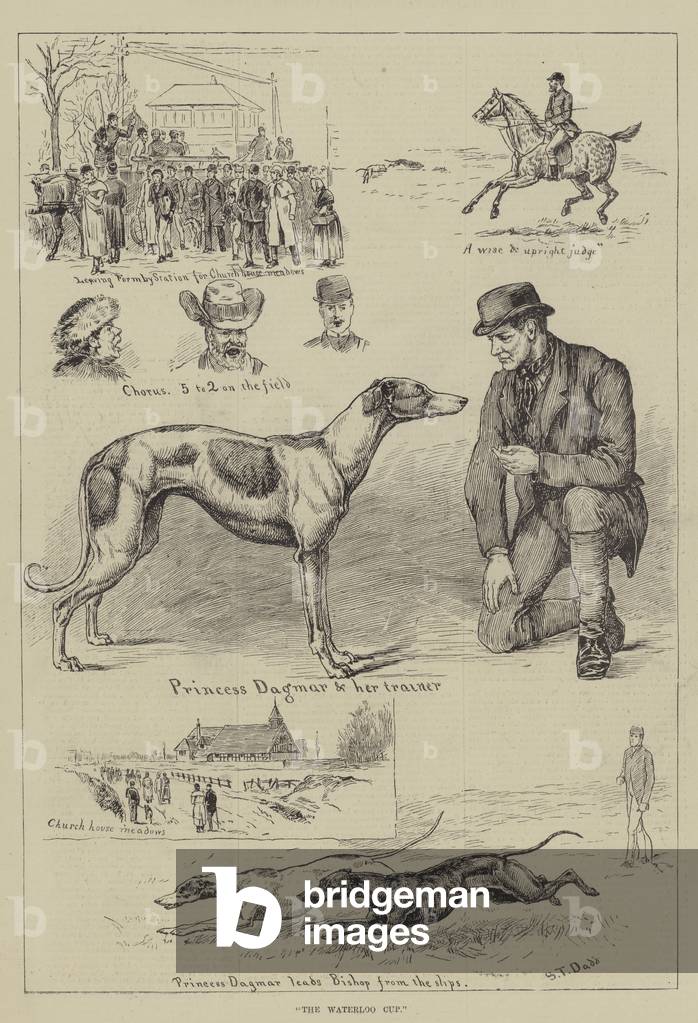 The Waterloo Cup (engraving)