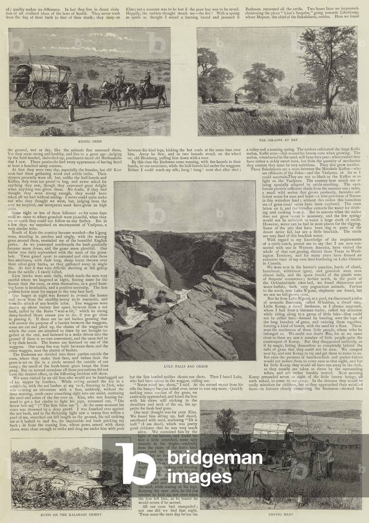 Exploration of the Kalahari Desert (engraving)