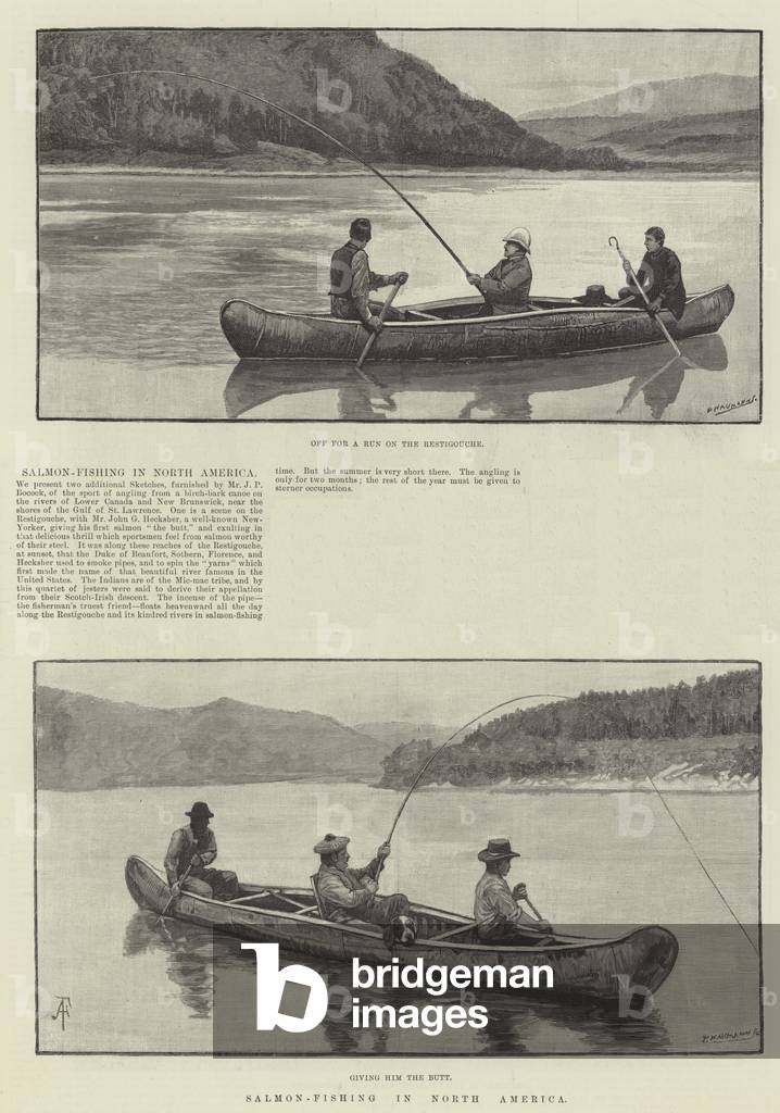 Salmon-Fishing in North America (engraving)