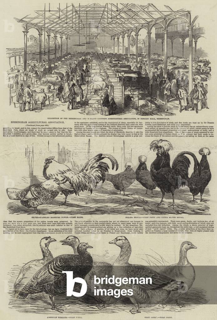 Birmingham Agricultural Association (engraving)