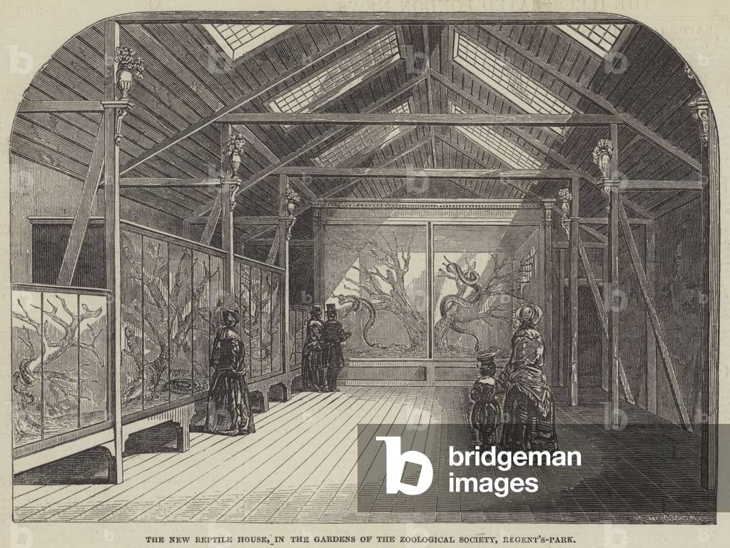 The New Reptile House, in the Gardens of the Zoological Society, Regent's-Park (engraving)