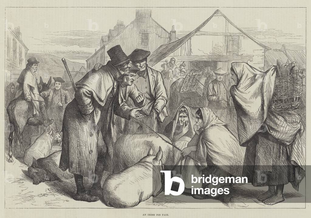An Irish Pig Fair (engraving)