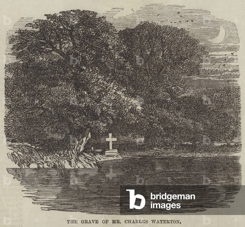 The Grave of Mr Charles Waterton (engraving)