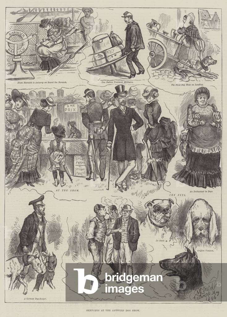 Sketches at the Antwerp Dog Show (engraving)