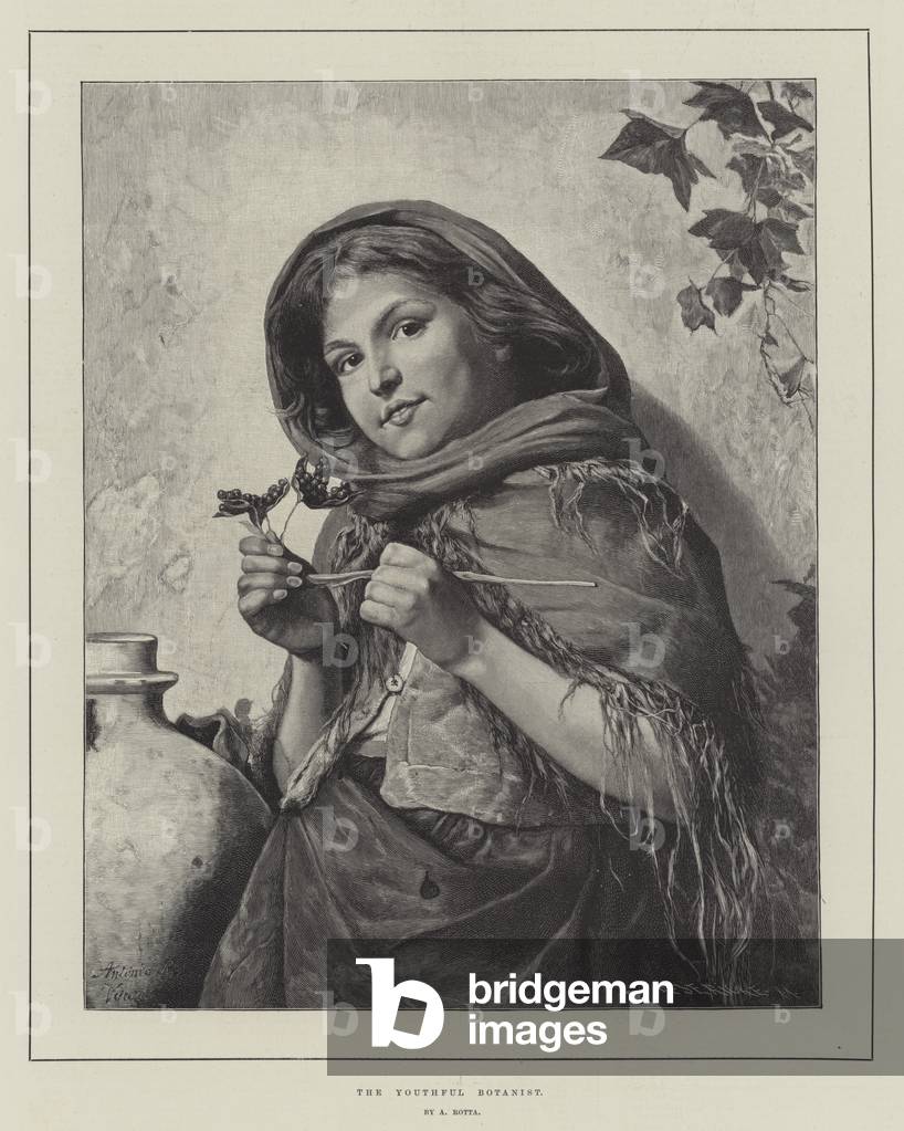 The Youthful Botanist (engraving)