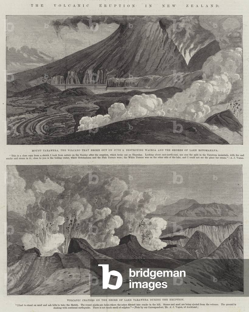The Volcanic Eruption in New Zealand (engraving)