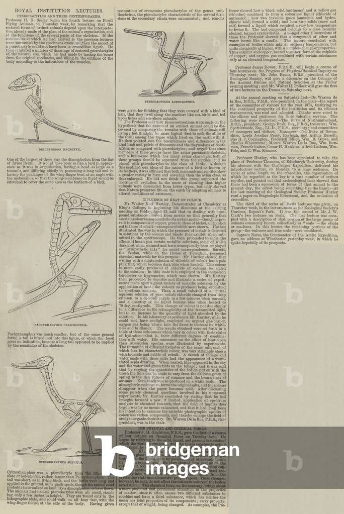 Royal Institution Lectures, Pterodactyles and their Contemporaries (engraving)