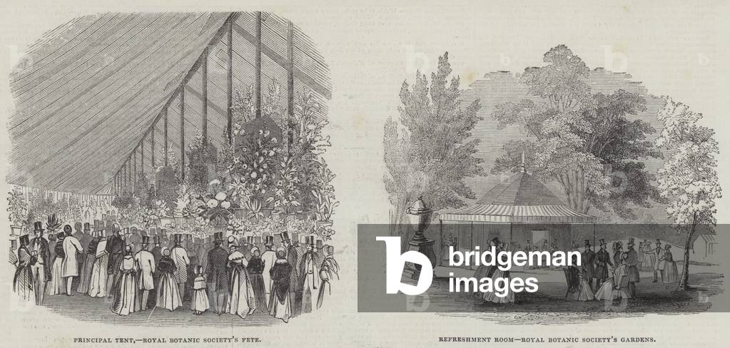 Royal Botanic Society (engraving)