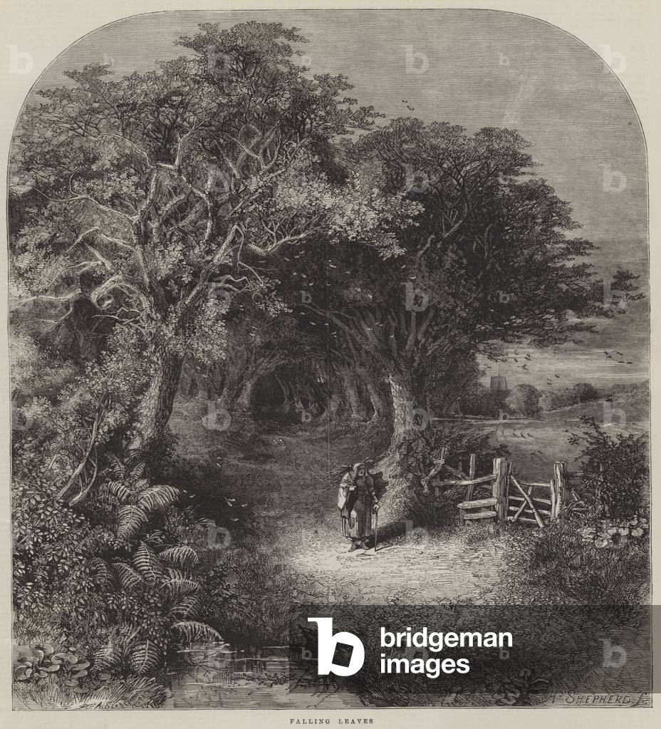 Falling Leaves (engraving)