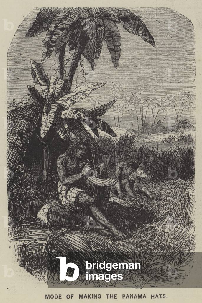 Mode of Making the Panama Hats (engraving)