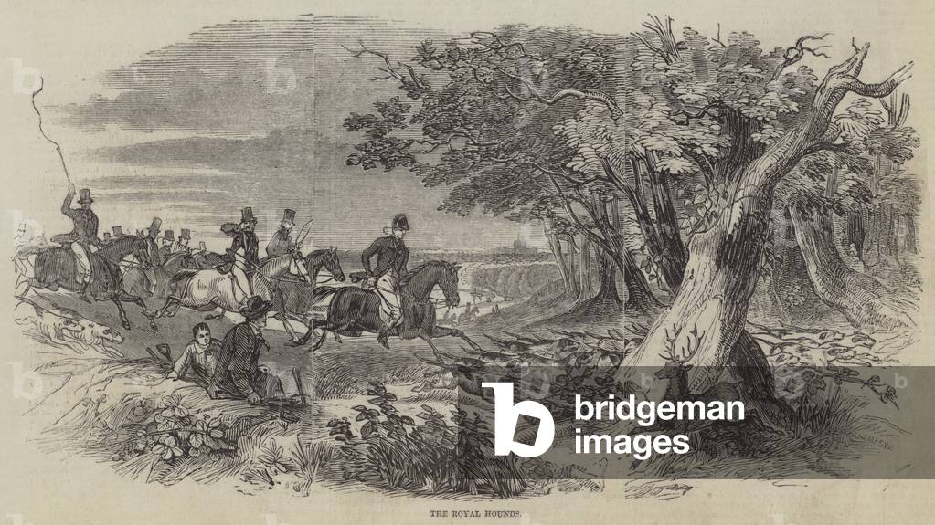 The Royal Hounds (engraving)