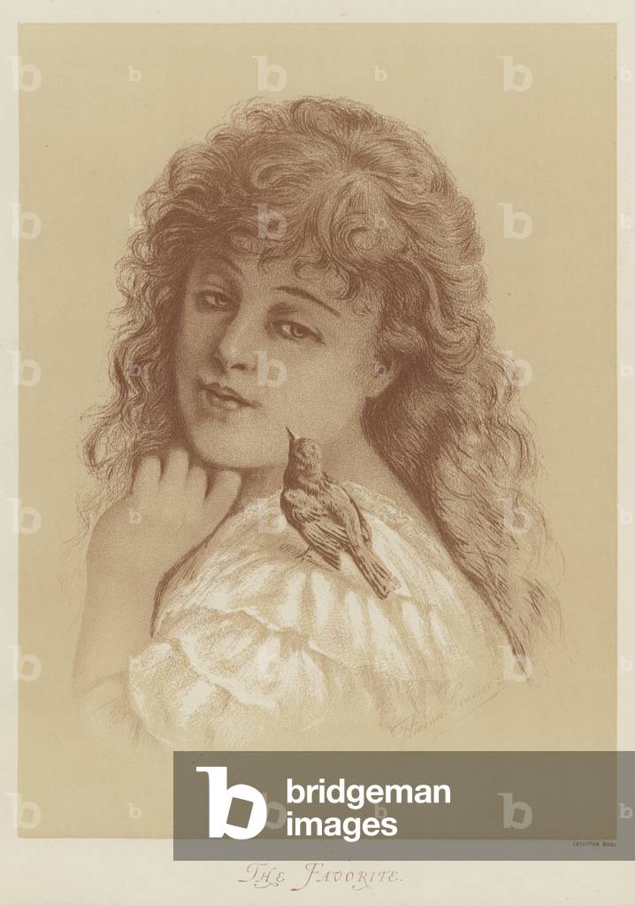 The Favorite (colour litho)