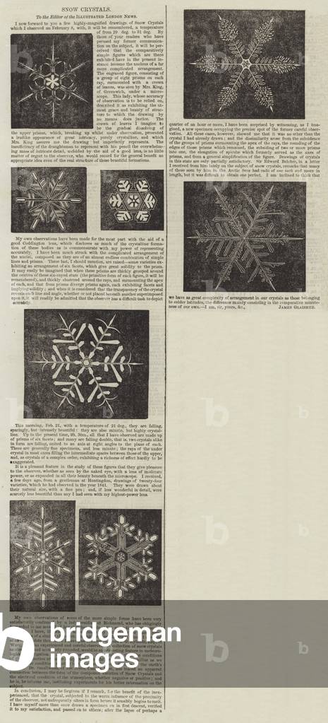 Snow Crystals (engraving)