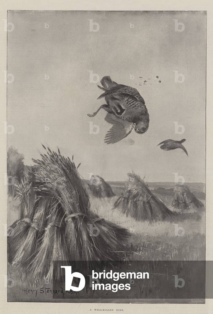 A Well-Killed Bird (litho)