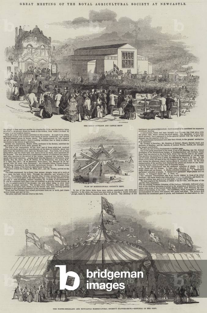 Great Meeting of the Royal Agricultural Society at Newcastle (engraving)