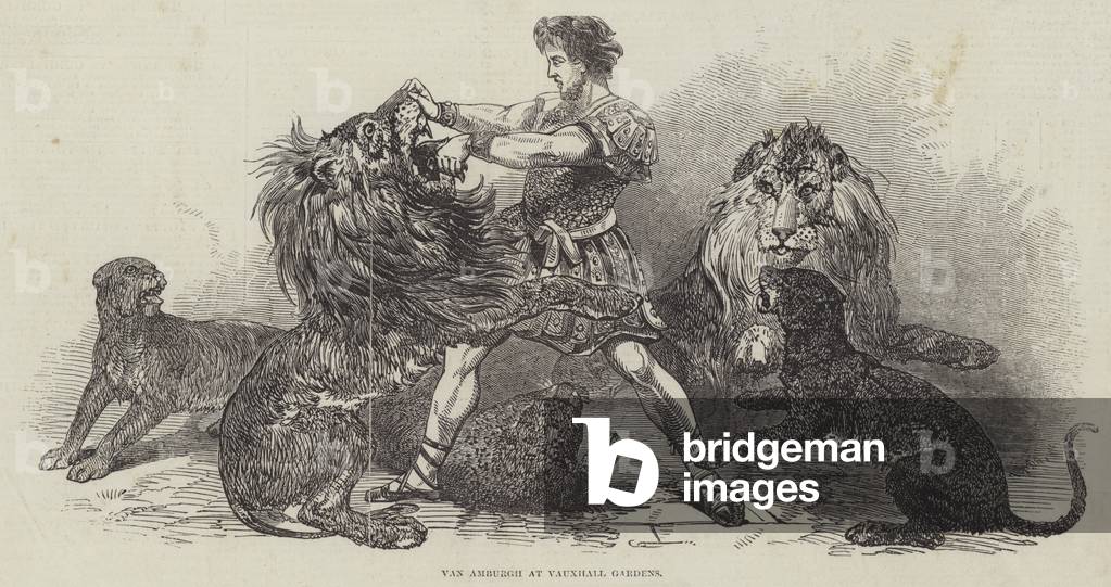 Van Amburgh at Vauxhall Gardens (engraving)