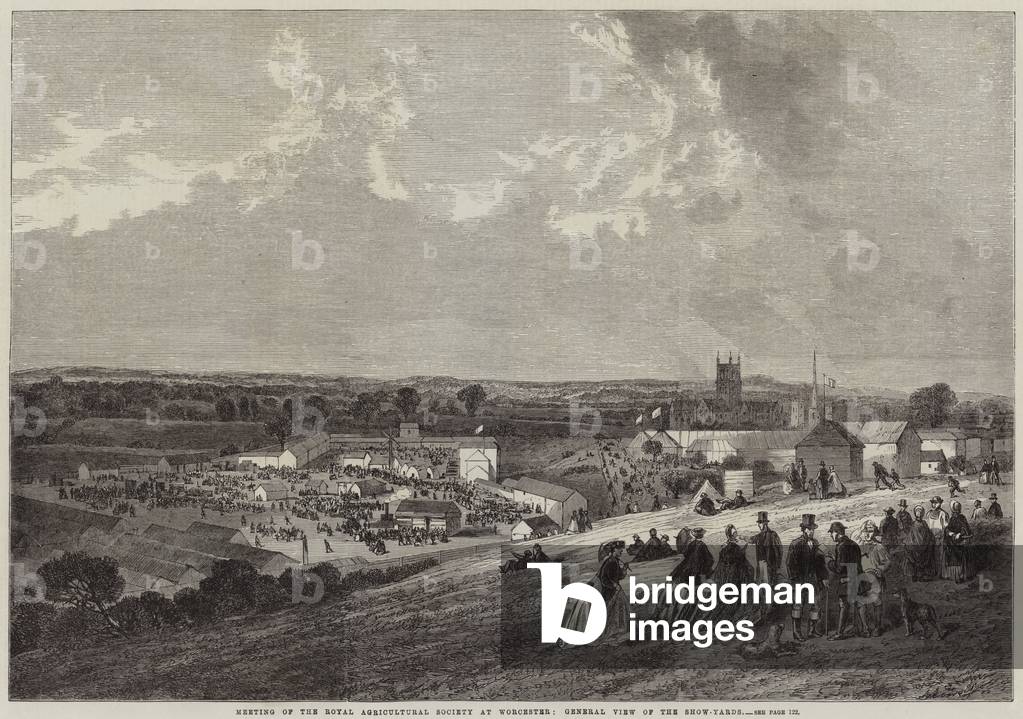 Meeting of the Royal Agricultural Society at Worcester, General View of the Show-Yards (engraving)