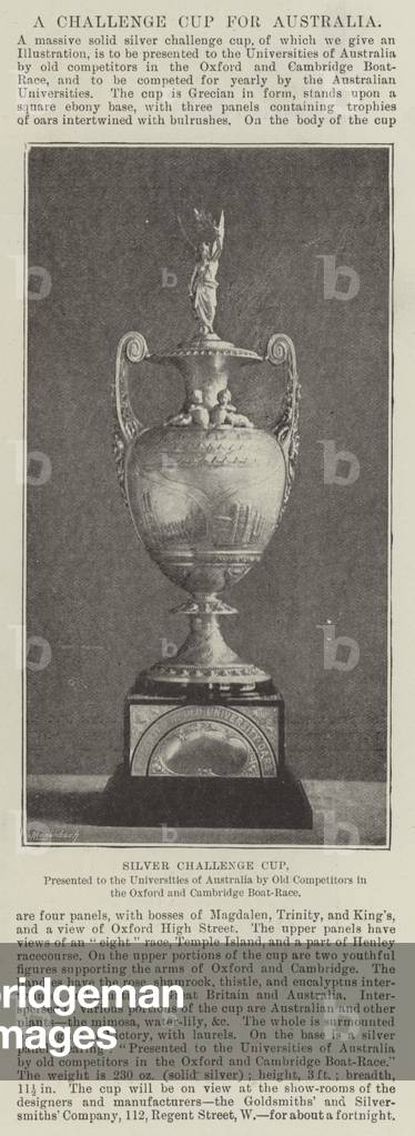 Silver Challenge Cup, presented to the Universities of Australia by Old Competitors in the Oxford and Cambridge Boat-Race (b/w photo)