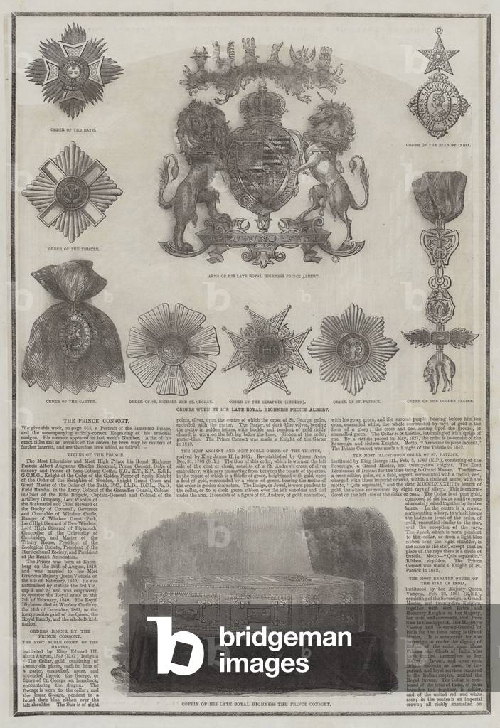 The Prince Consort (engraving)