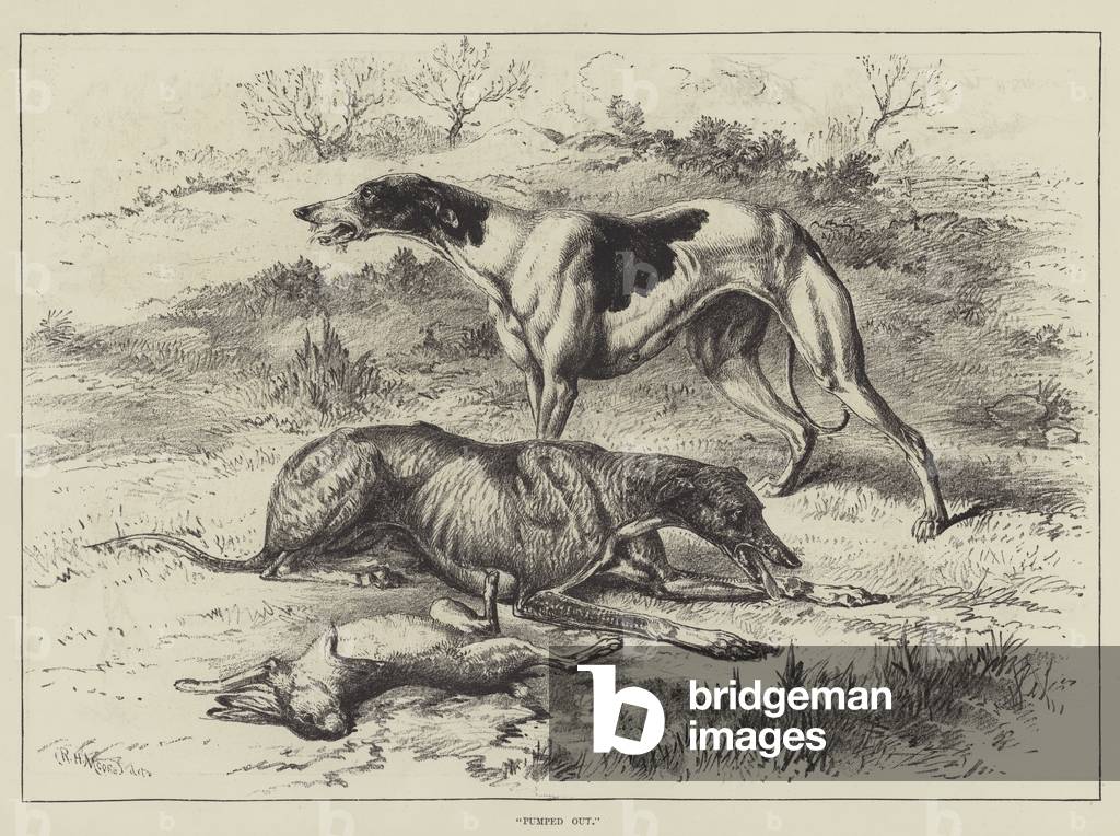 Pumped out (engraving)