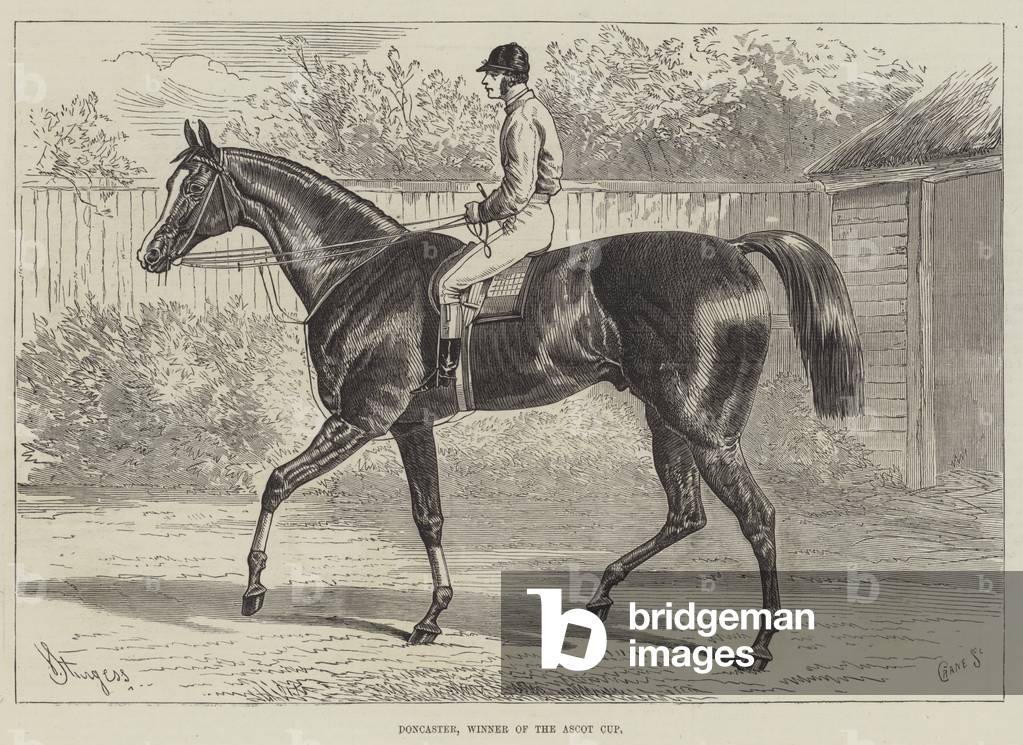 Doncaster, Winner of the Ascot Cup (engraving)