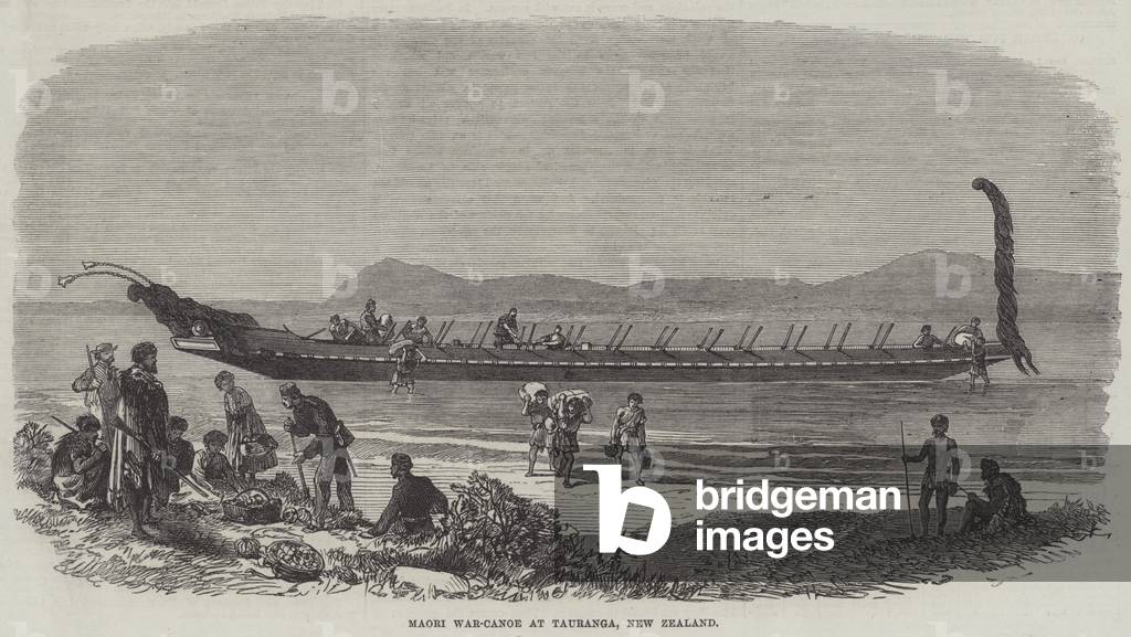 Maori War-Canoe at Tauranga, New Zealand (engraving)