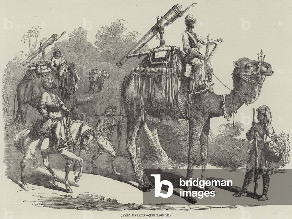 Camel Jingalls (engraving)