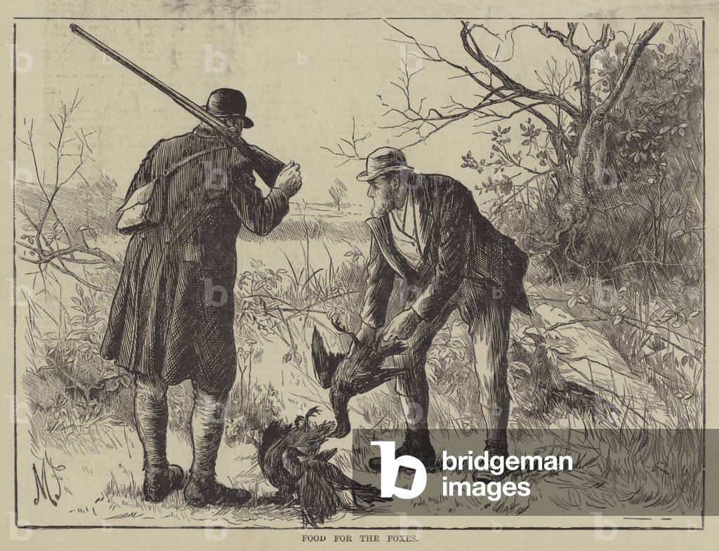 Food for the Foxes (engraving)