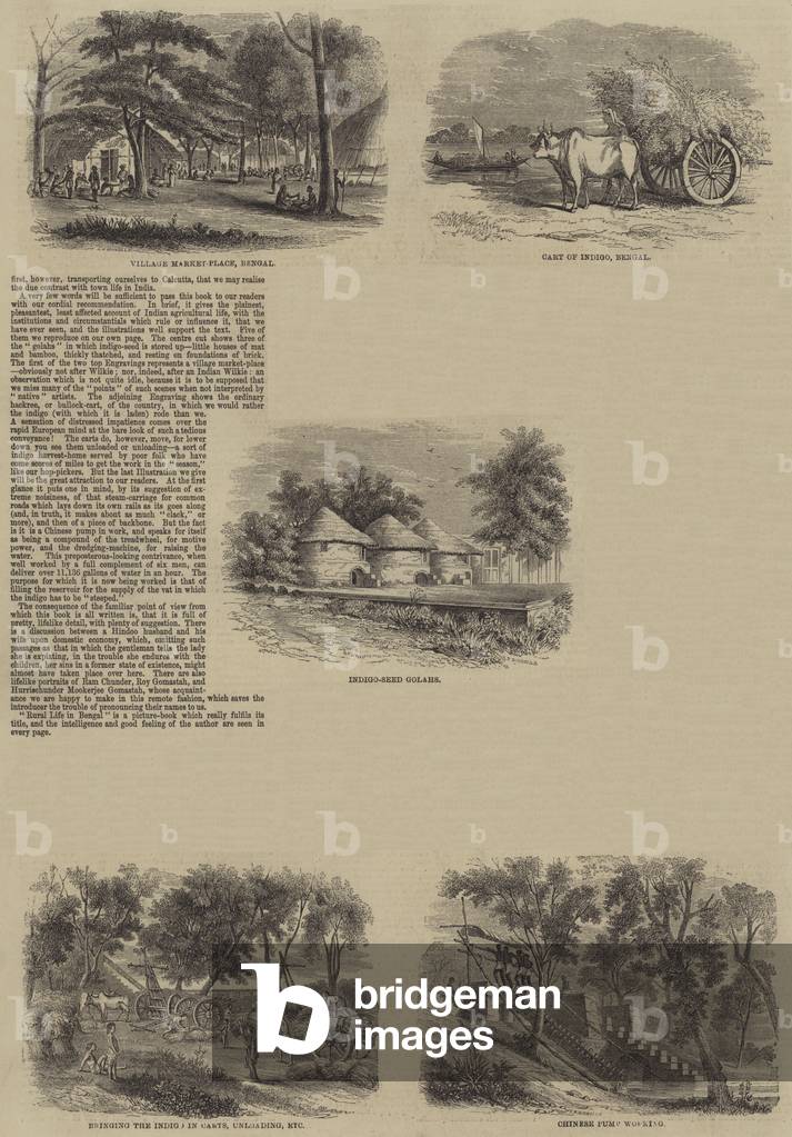 Rural Life in Bengal (engraving)