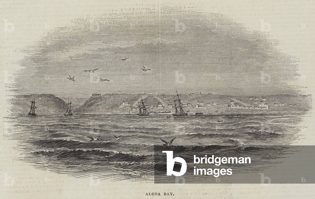 Algoa Bay (engraving)