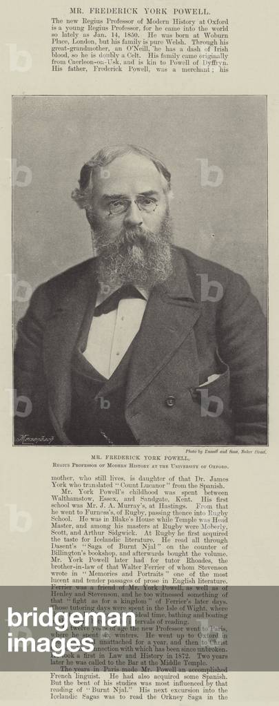 Mr Frederick York Powell, Regius Professor of Modern History at the University of Oxford (b/w photo)