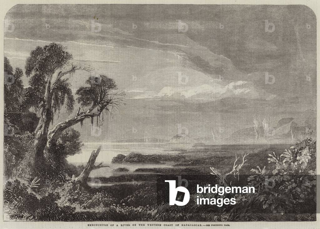 Embouchure of a River on the Western Coast of Madagascar (engraving)