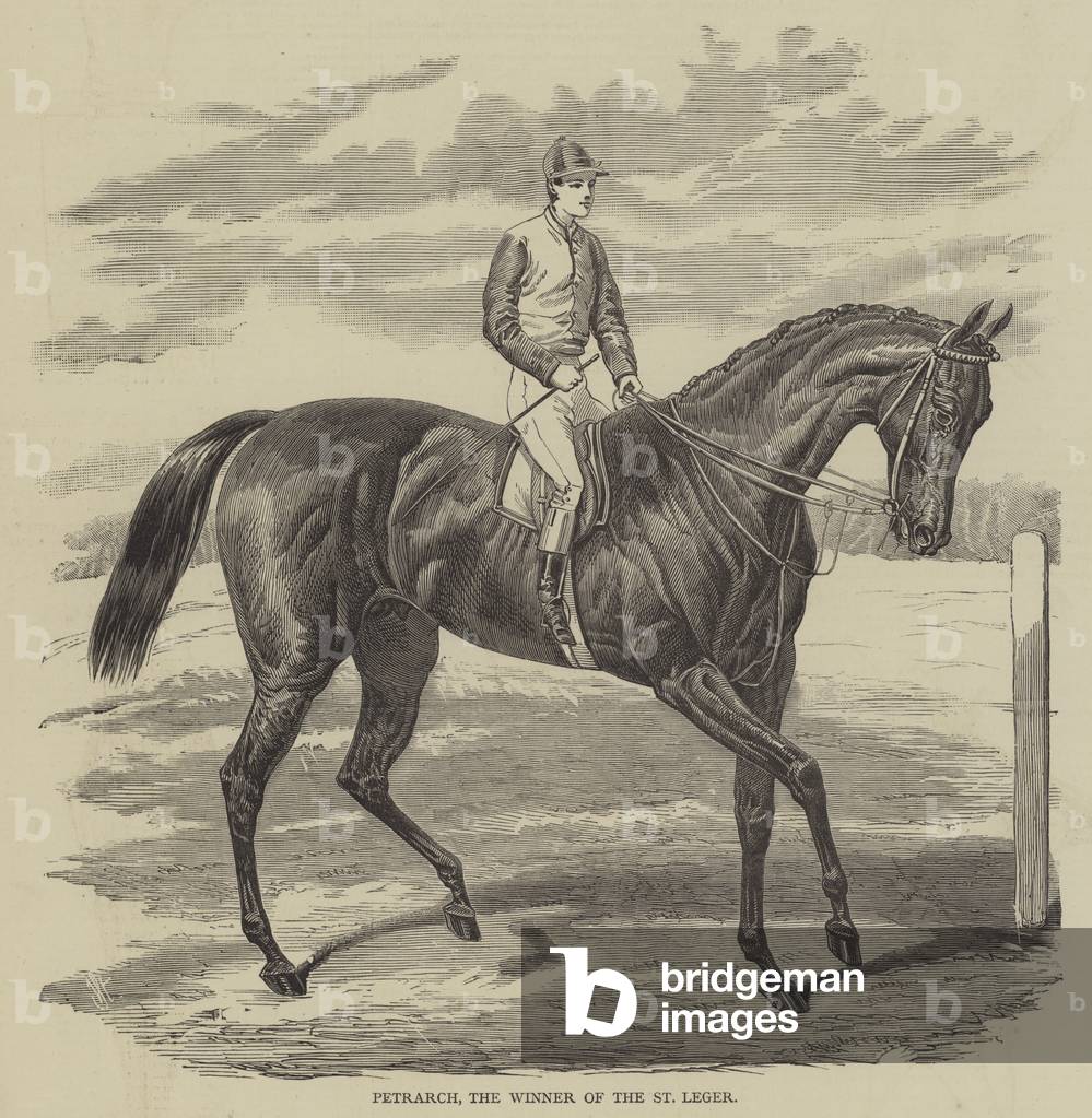 Petrarch, the Winner of the St Leger (engraving)