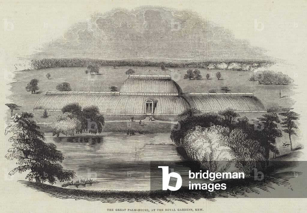 The Great Palm-House, at the Royal Gardens, Kew (engraving)
