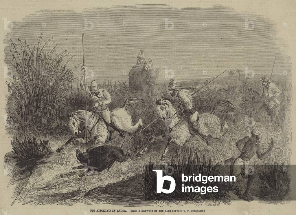 Pig-Sticking in India (engraving)