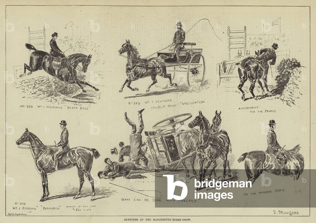 Sketches at the Manchester Horse Show (engraving)