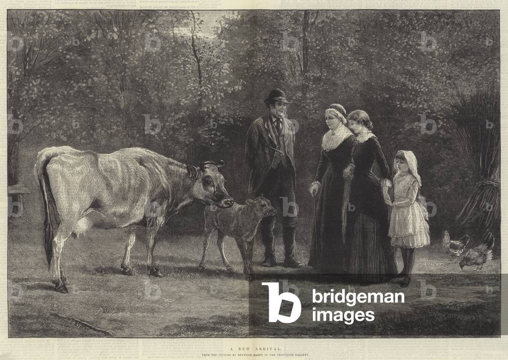 A New Arrival (engraving)