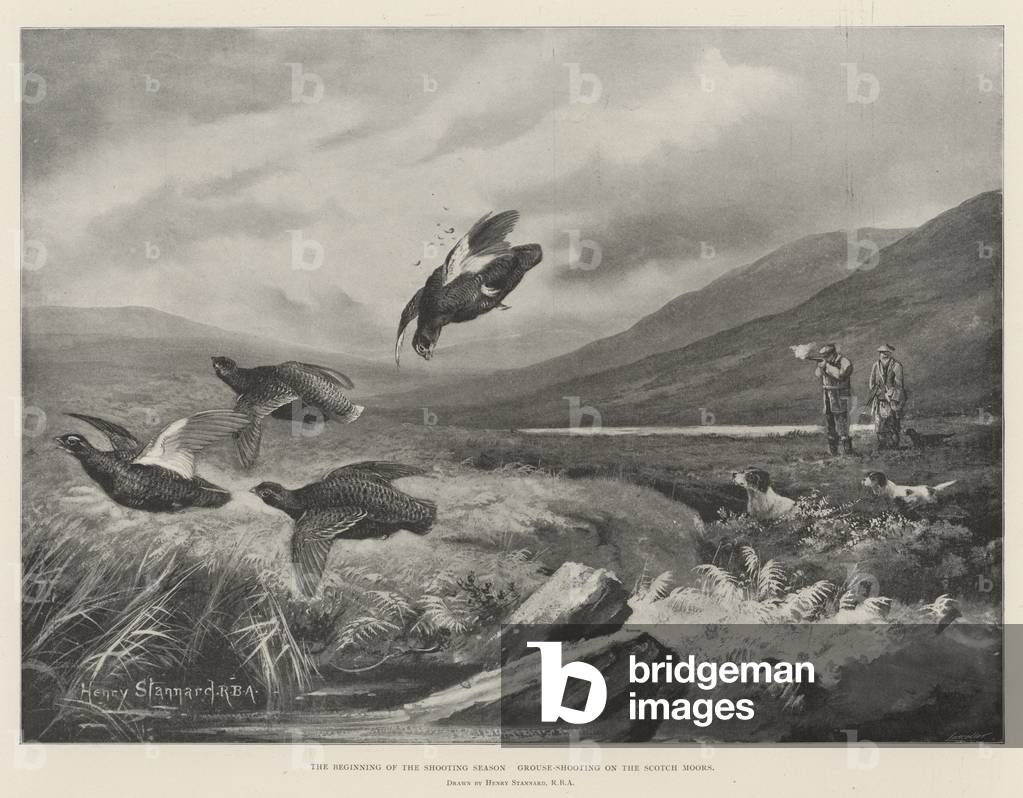The Beginning of the Shooting Season, Grouse-Shooting on the Scotch Moors (litho)