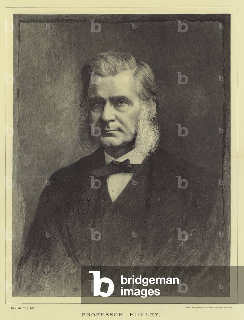 Professor Huxley (engraving)