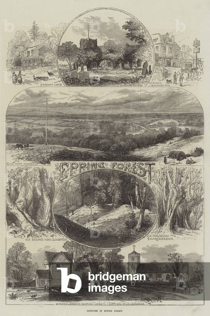 Sketches in Epping Forest (engraving)