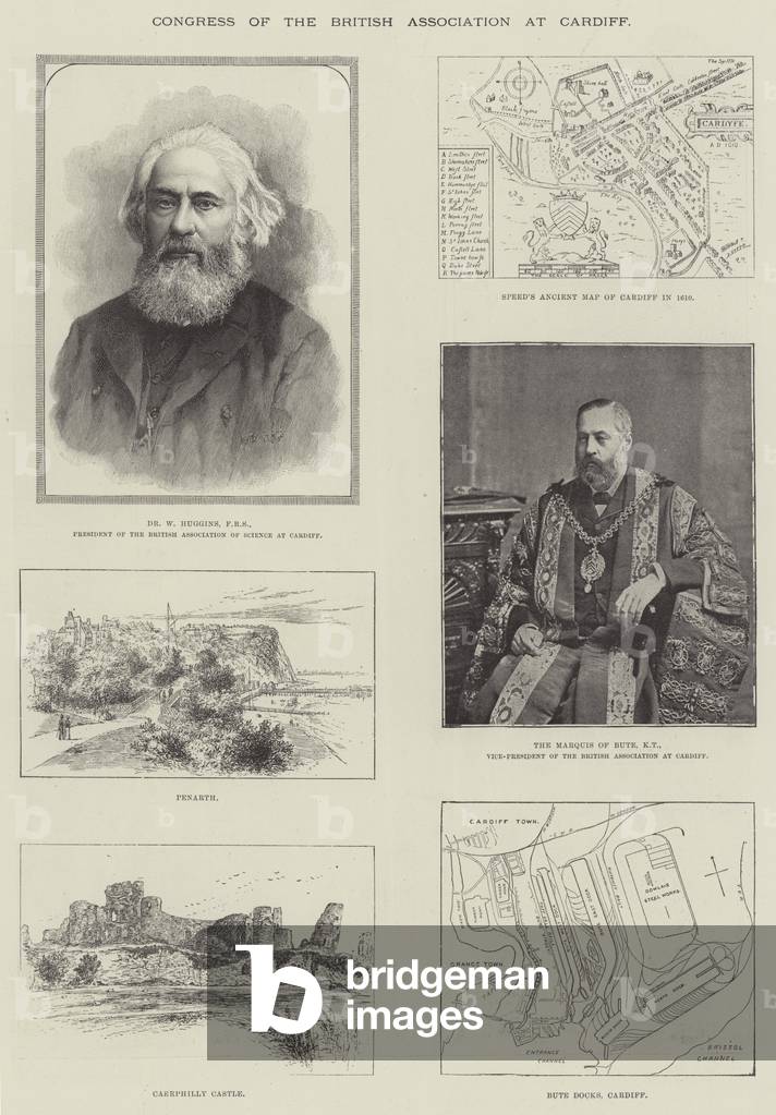 Congress of the British Association at Cardiff (engraving)