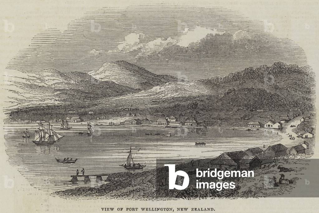 View of Port Wellington, New Zealand (engraving)