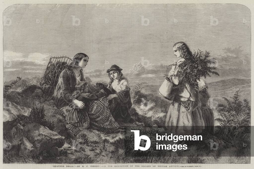 Heather Bells (engraving)